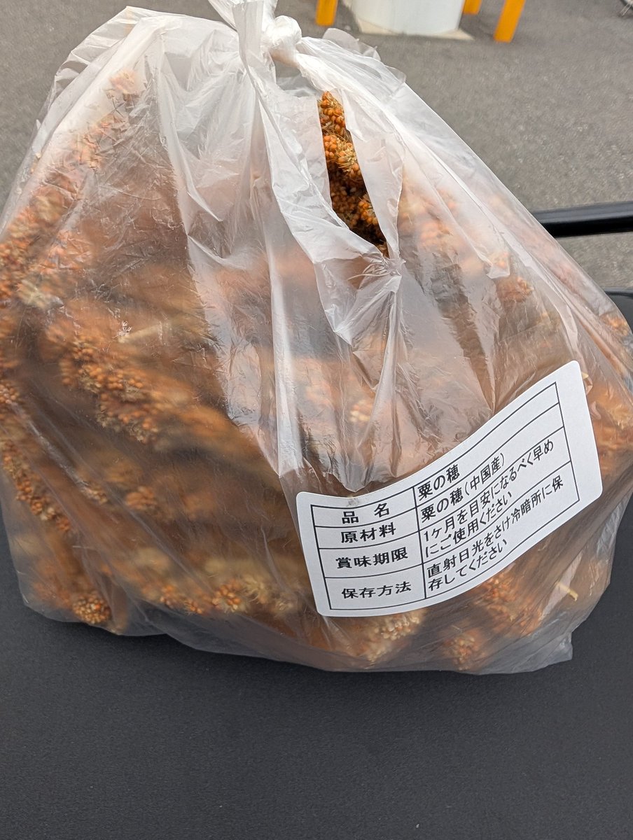 バンブー tweet media