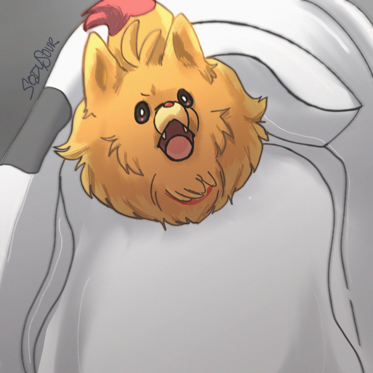 NO BATH #PokemonWindsWaves #Pombon