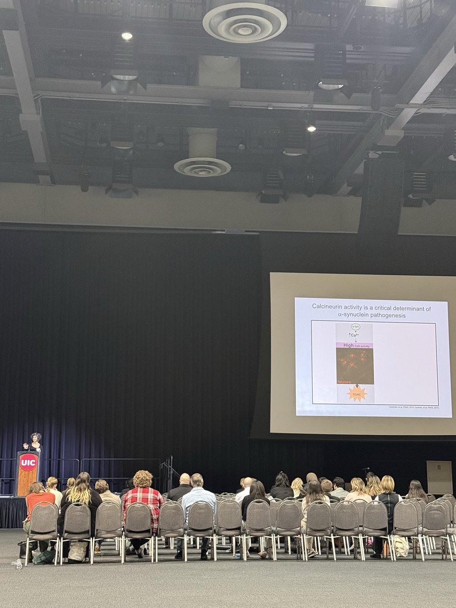 Chicago Chapter - SfN tweet media