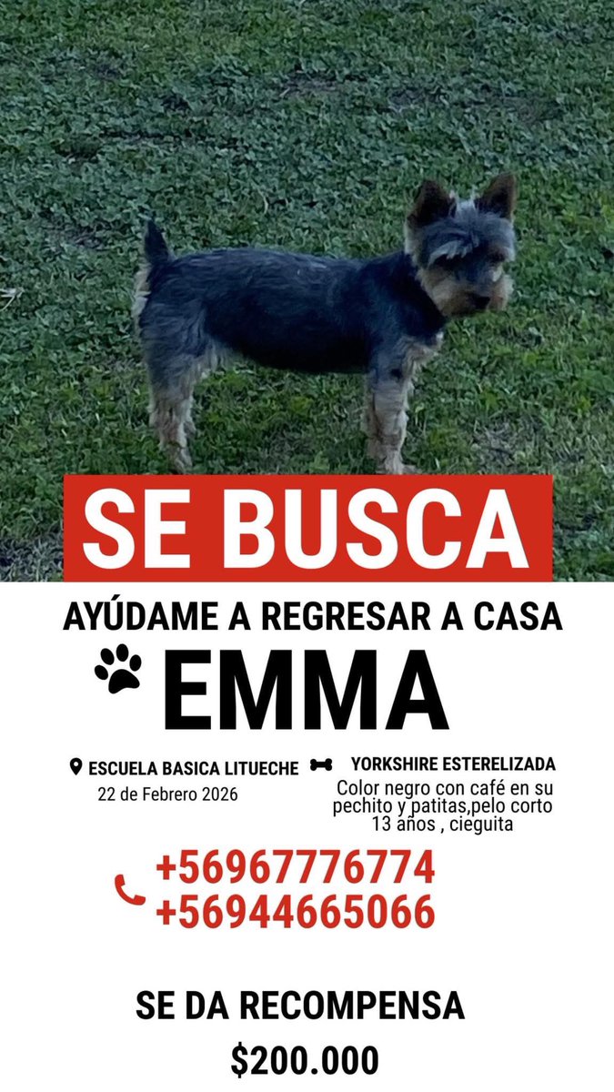 Eve Torres 🇨🇱 tweet media