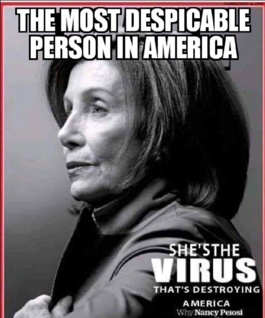 Nancy Pelosi is not a patriot! 🤨