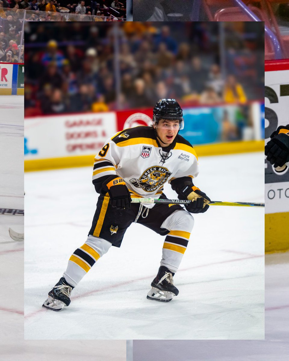 Green Bay Gamblers tweet media