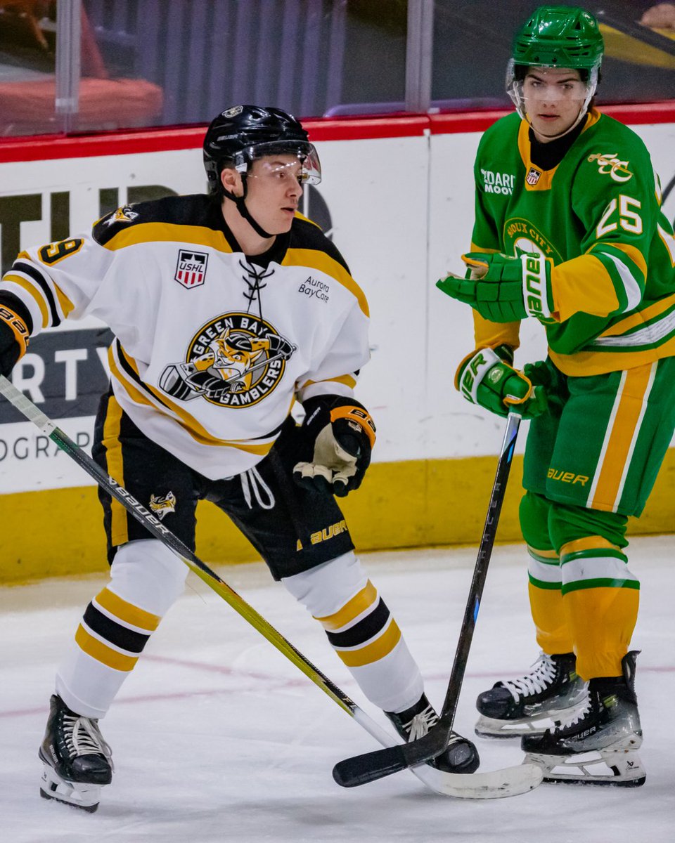 Green Bay Gamblers tweet media