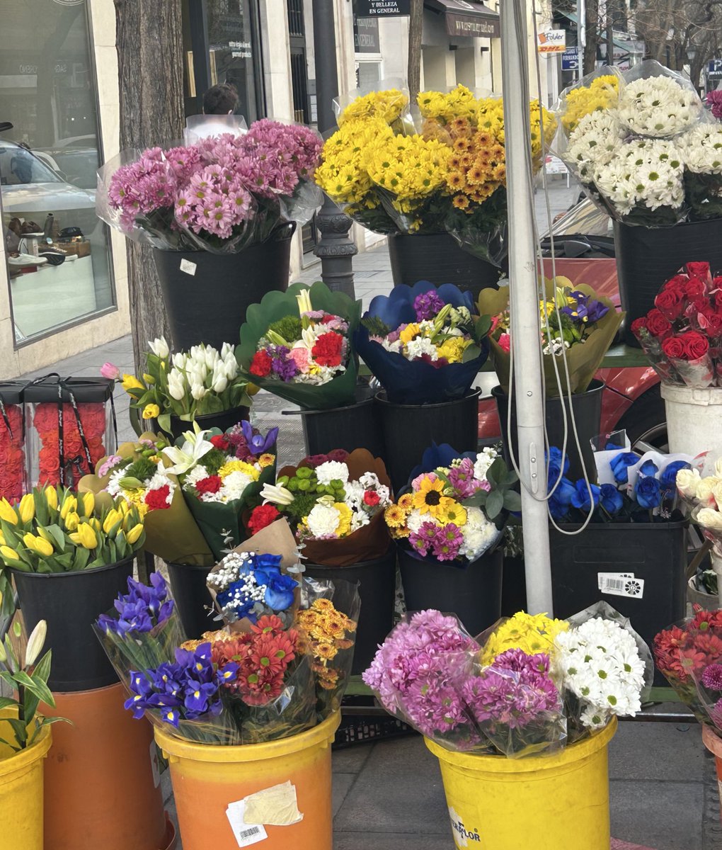 Daniel Hernandez tweet media