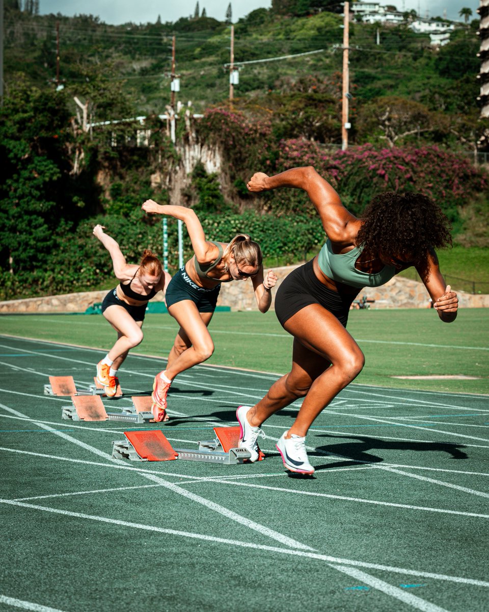 Hawaii XC/T&F tweet media