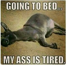 Papa_Kyenn🤝 tweet media