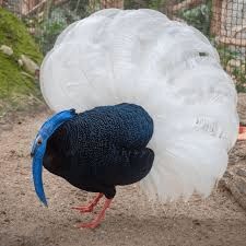 Abby 🏳️⚧️ tweet media