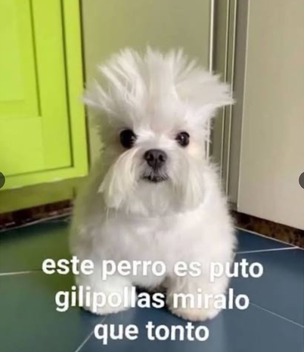 Rhythl_art tweet media