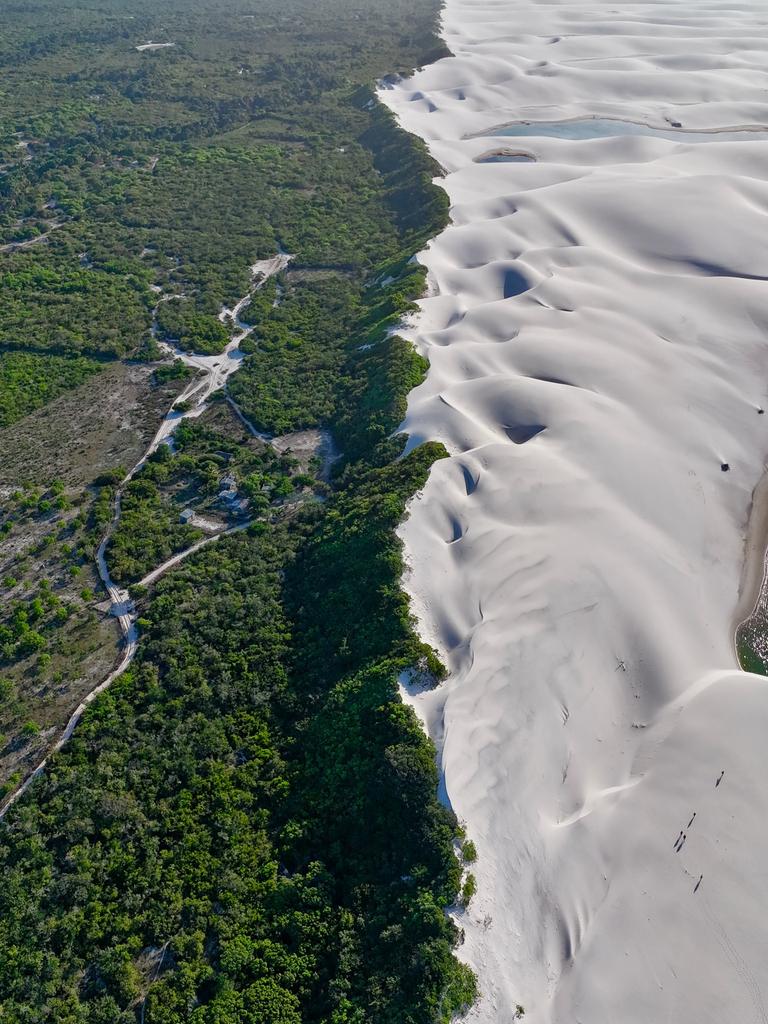 O encontro improvável da floresta com as dunas.

A natureza resolveu caprichar nos Lençóis Maranhenses.  🌿🏜️

Circuito Lagoa Bonita.
Barreirinhas, Maranhão.