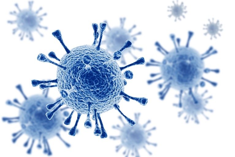 COVID19_disease's tweet photo. 🚨 BREAKING: 

Spain Reports Suspected Human-to-Human Swine Flu Transmission; World Health Organization Notified

The patient had no contact with pigs, raising concern that the virus could mix with human flu in a pig and possibly increase pandemic risk. https://t.co/Wovwang0ux