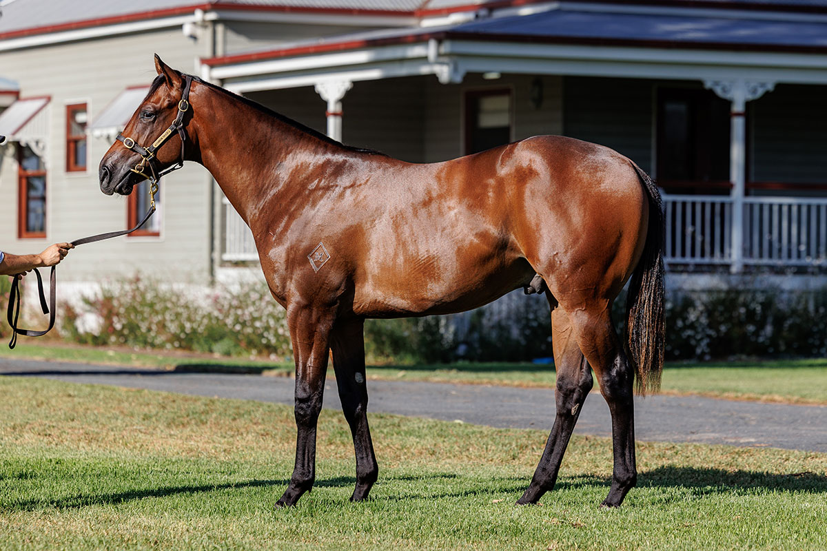 Cannon Hayes Stud tweet media