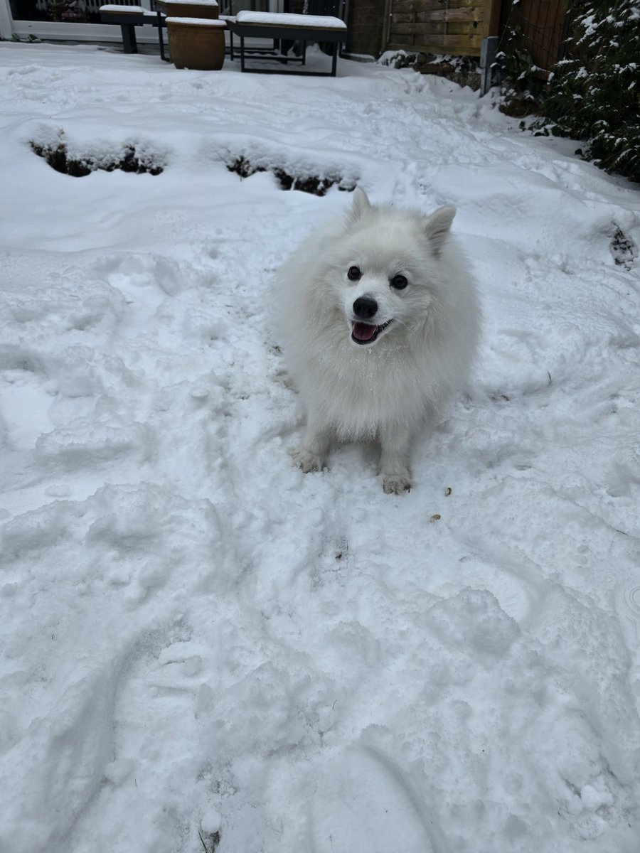 CreepyPastaPunch 💙💛 tweet media