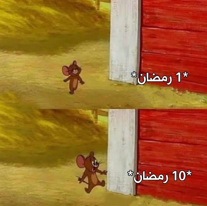 حلا (@halamhmedd) on Twitter photo 