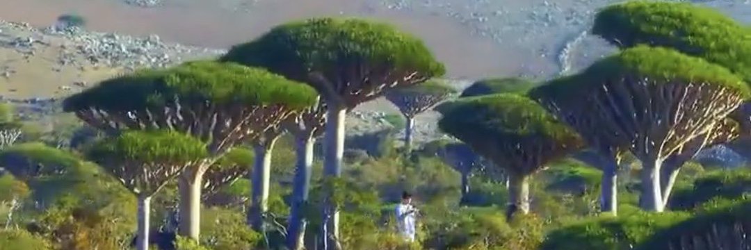 نتابع بعض وندعم بعض اللي صادق وجاد  لايك ورتويت وتعليق 
فالكم التوفيق يارب