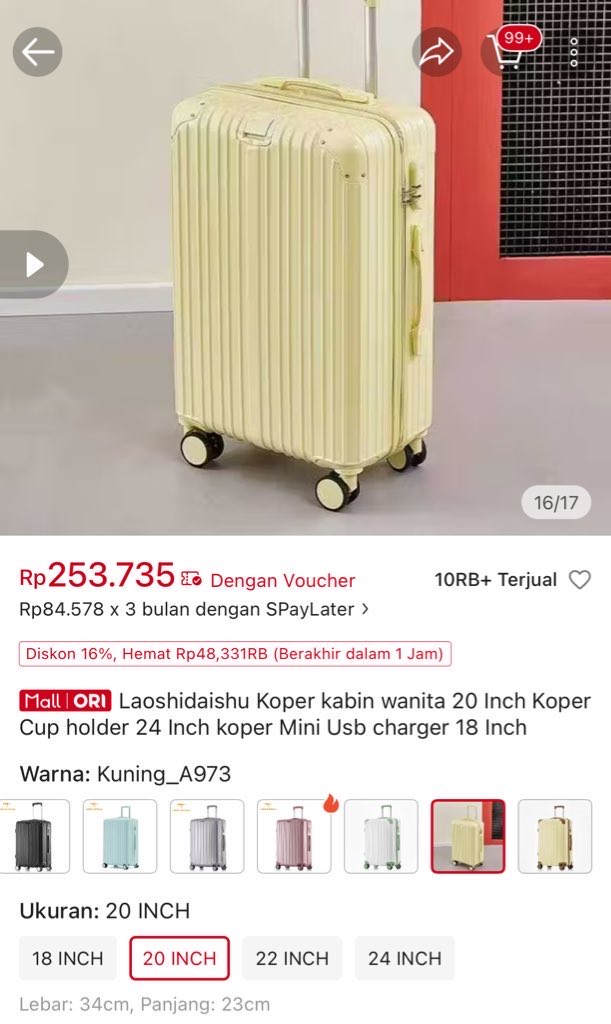 zeiy ✿ tweet media