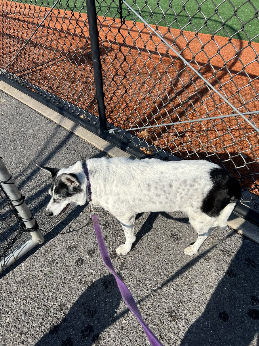 Tim Faulk tweet media