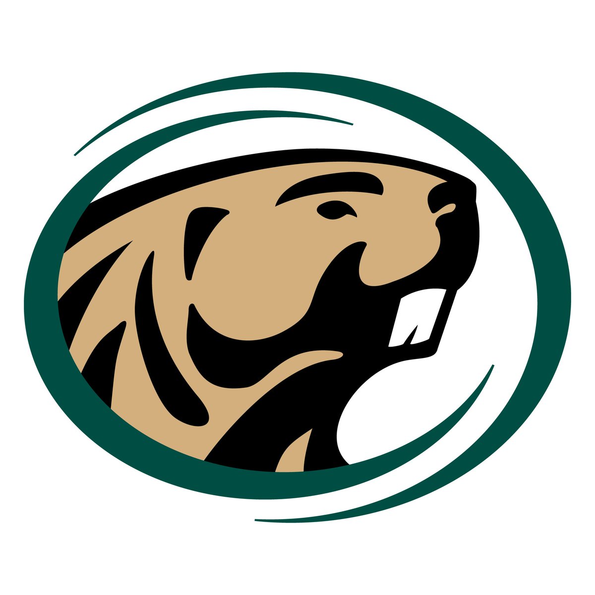 Collin Olson tweet media