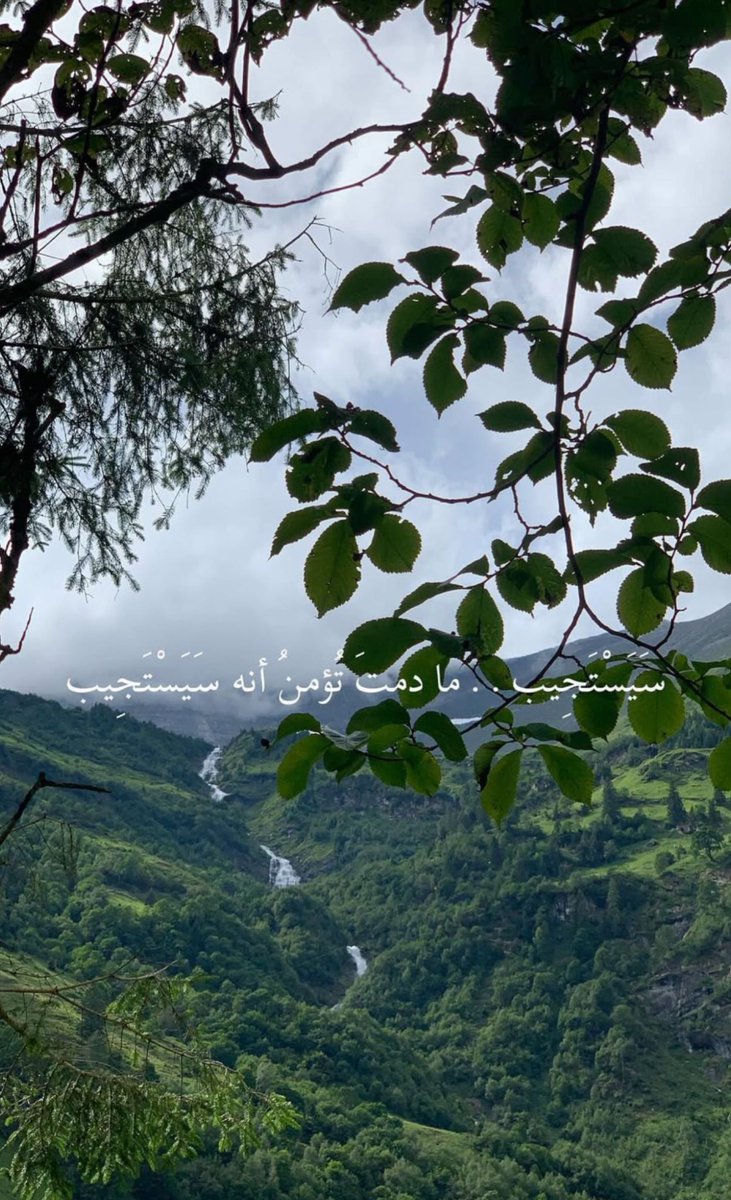 WithinAnfal's tweet photo. #١١رمضان 🤍 https://t.co/1bNpaHQecF