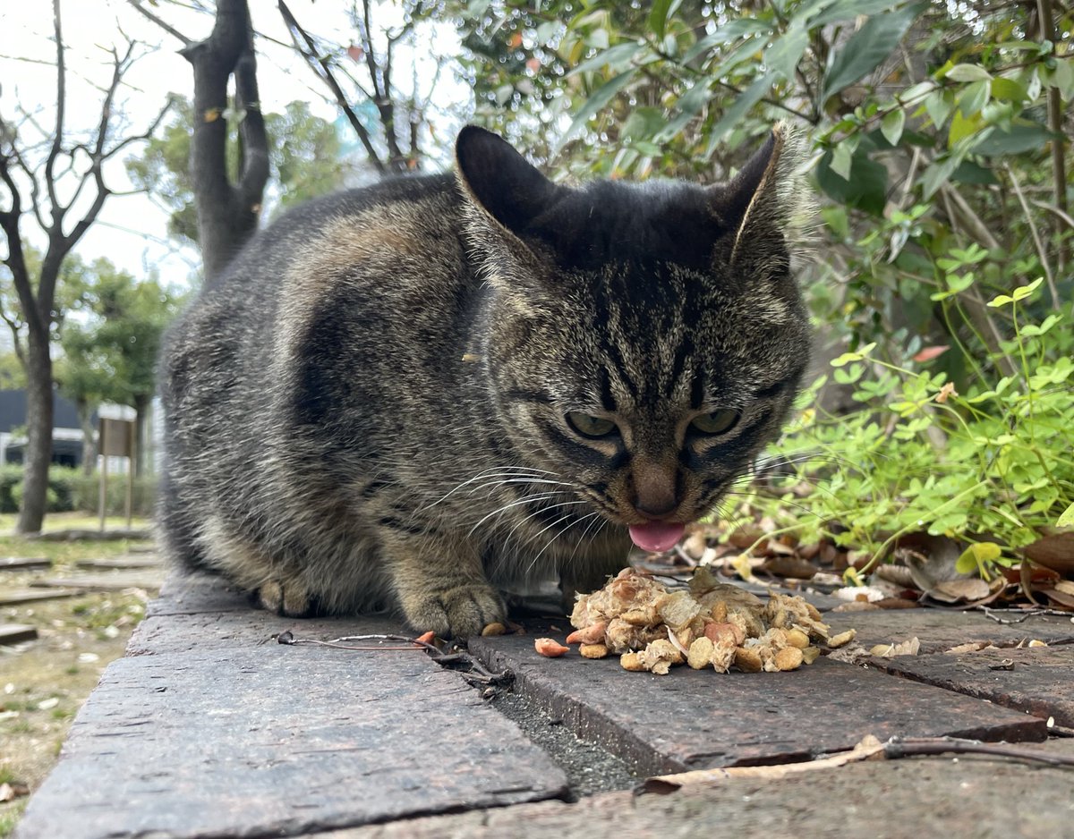 久しぶりにチビ1号2号揃って出勤 しばらく見ないと心配になるので