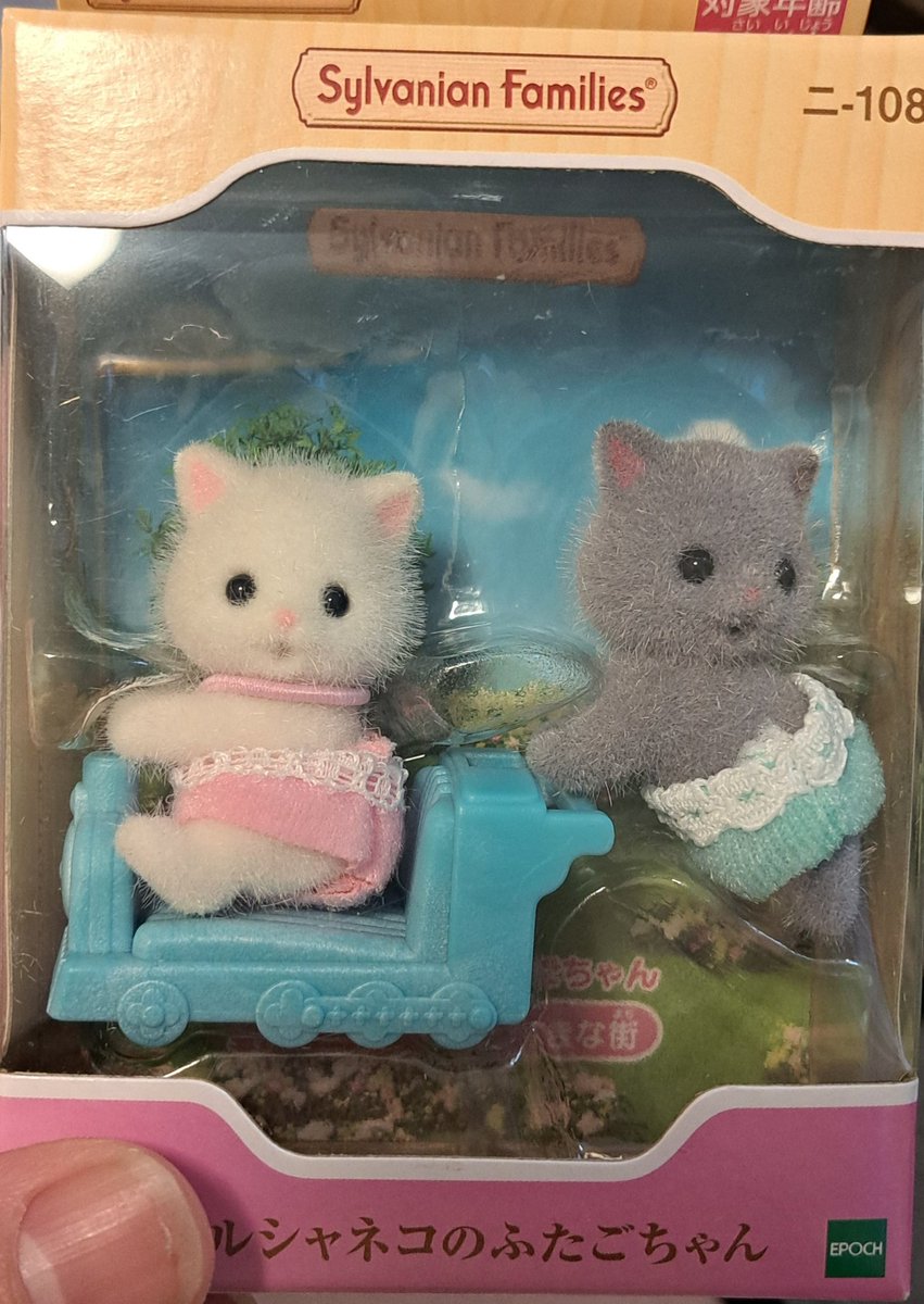 頭のてっぺん毛が少ないのに横ボッサで選ばれたぱや
ボサボサで輪郭違うように見えてお迎えしたぱや
他の子よりもこっちに首が向いてるからと選ばれたぱや双子