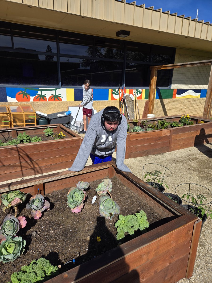 Oak Ridge H.S. tweet media