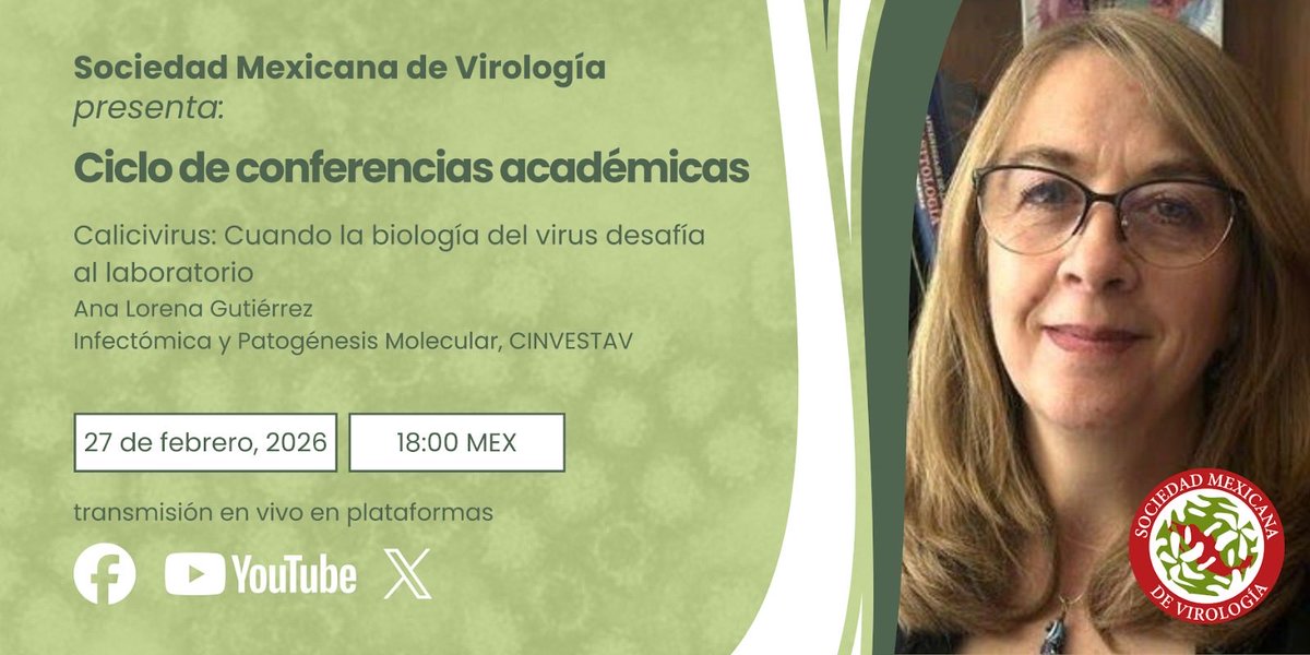 José Campillo tweet media