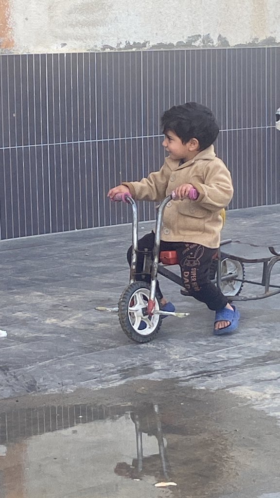 Doaa from gaza🇵🇸🌸 tweet media