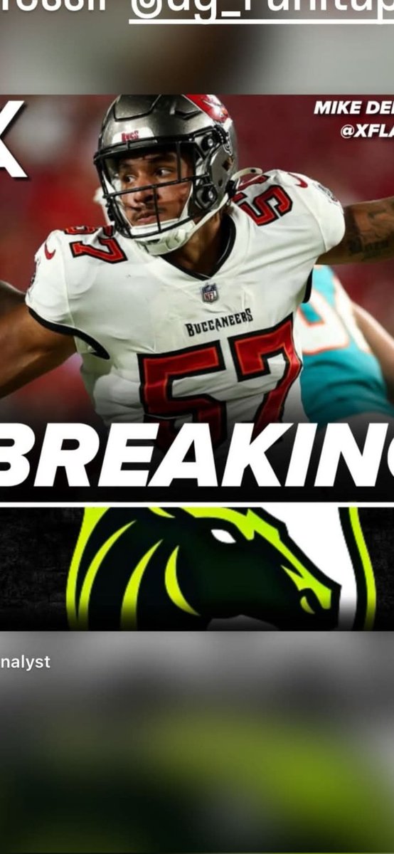 Brandon Jefferson tweet media