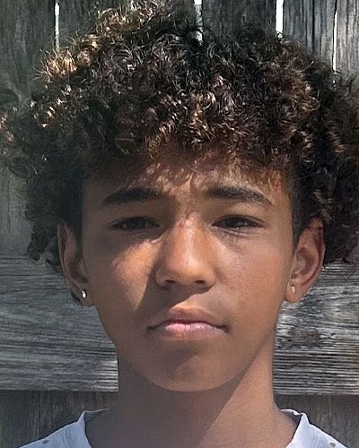 Annette Lawless 🌻 tweet media