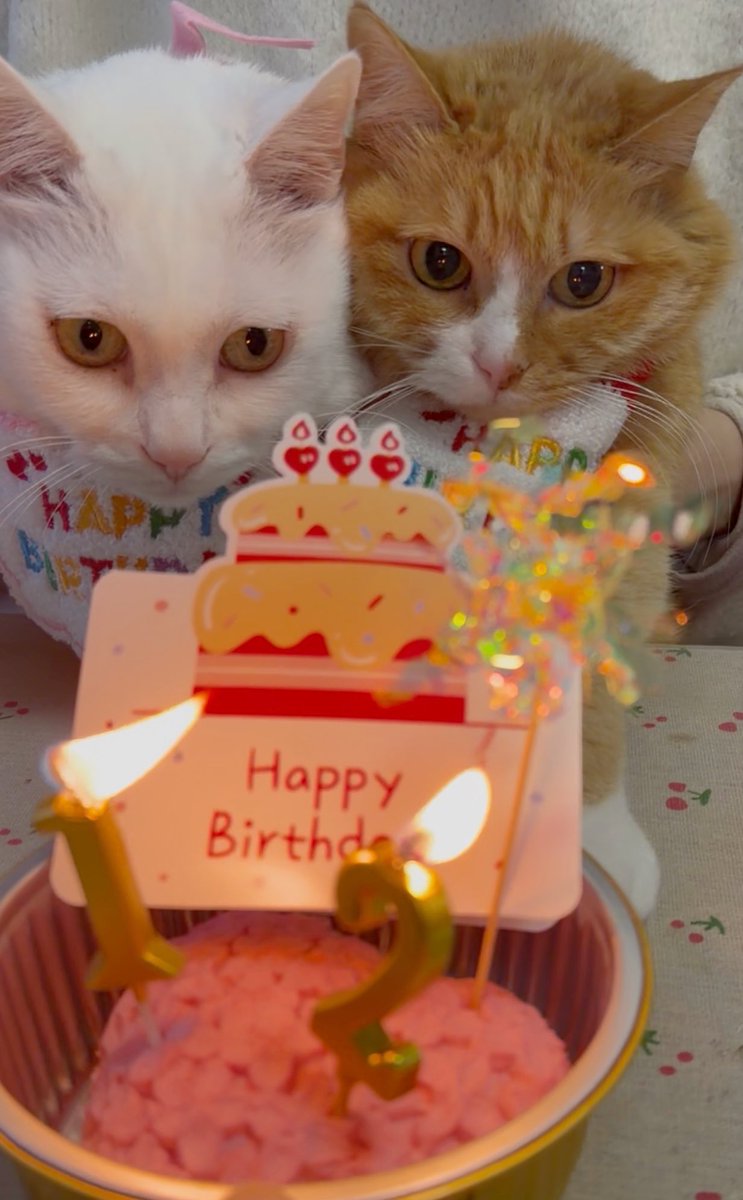 冰比冰水冰 tweet media