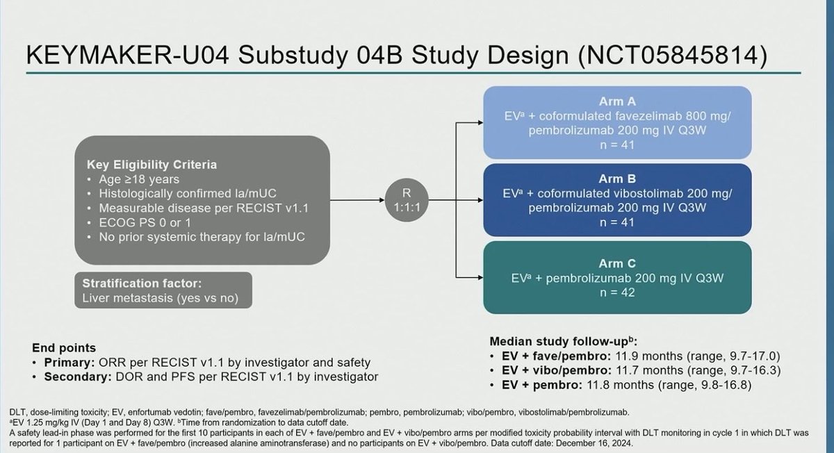 Andrea Apolo, M.D. tweet media