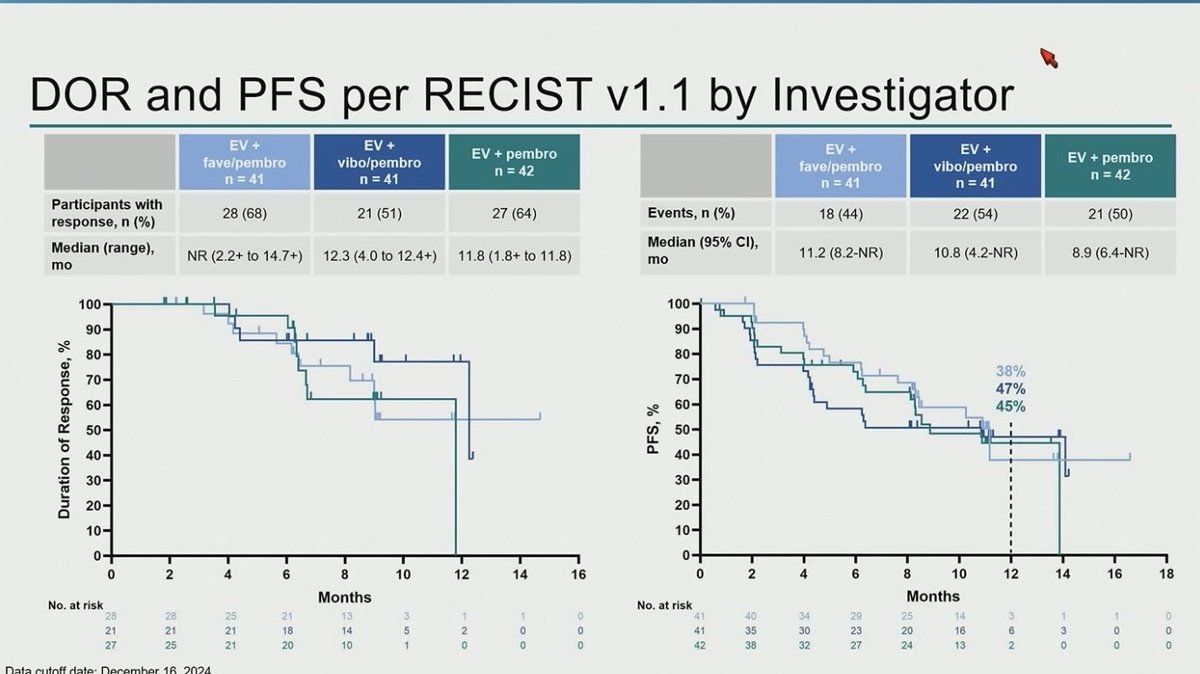 Andrea Apolo, M.D. tweet media
