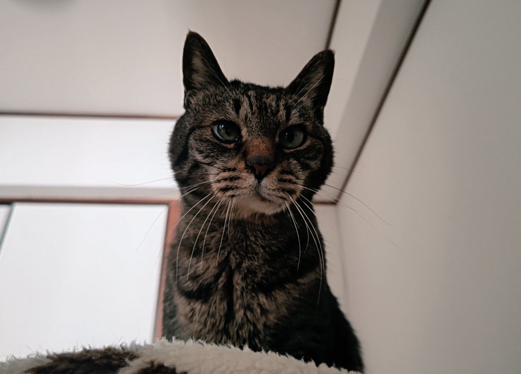 仁平政人 NiheiMasato (@m_nh) / Posts / X