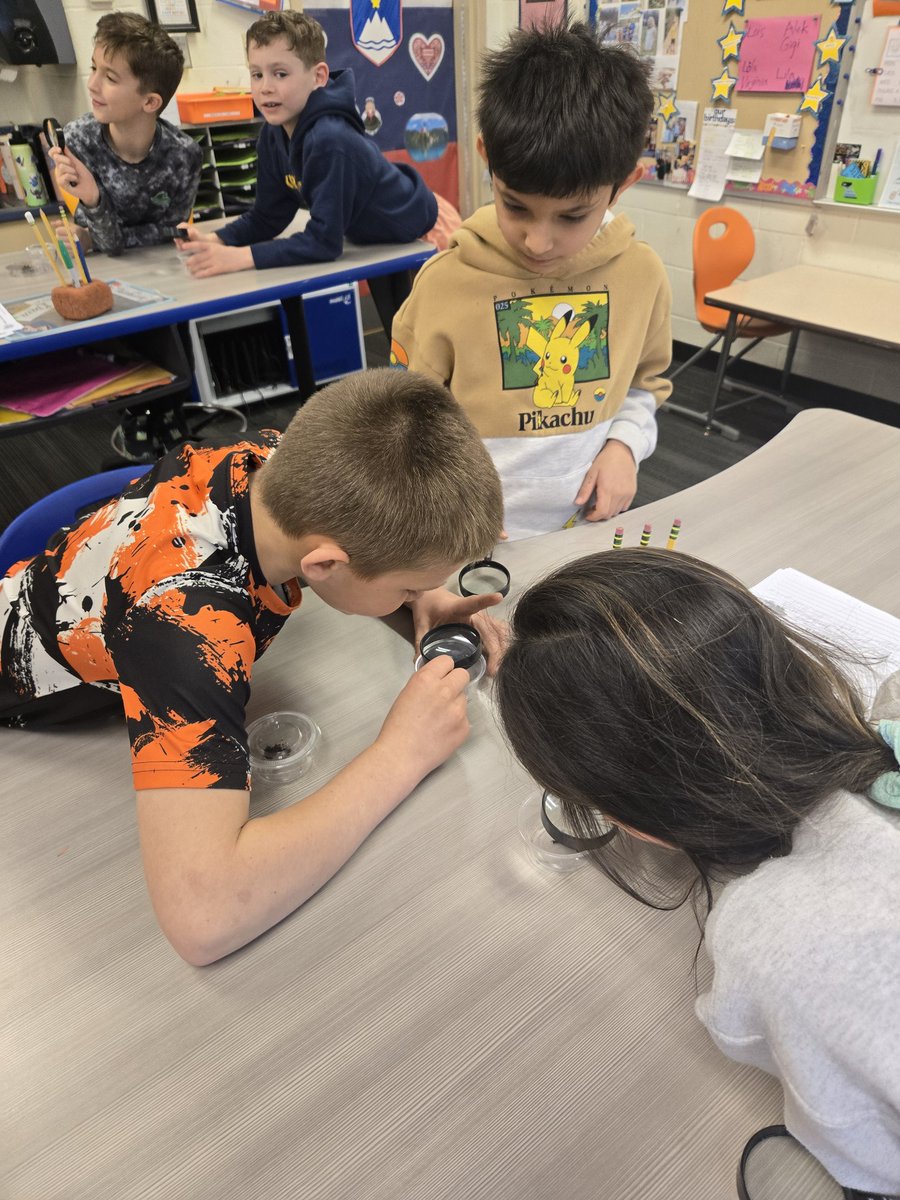 Mrs. Molchen tweet media