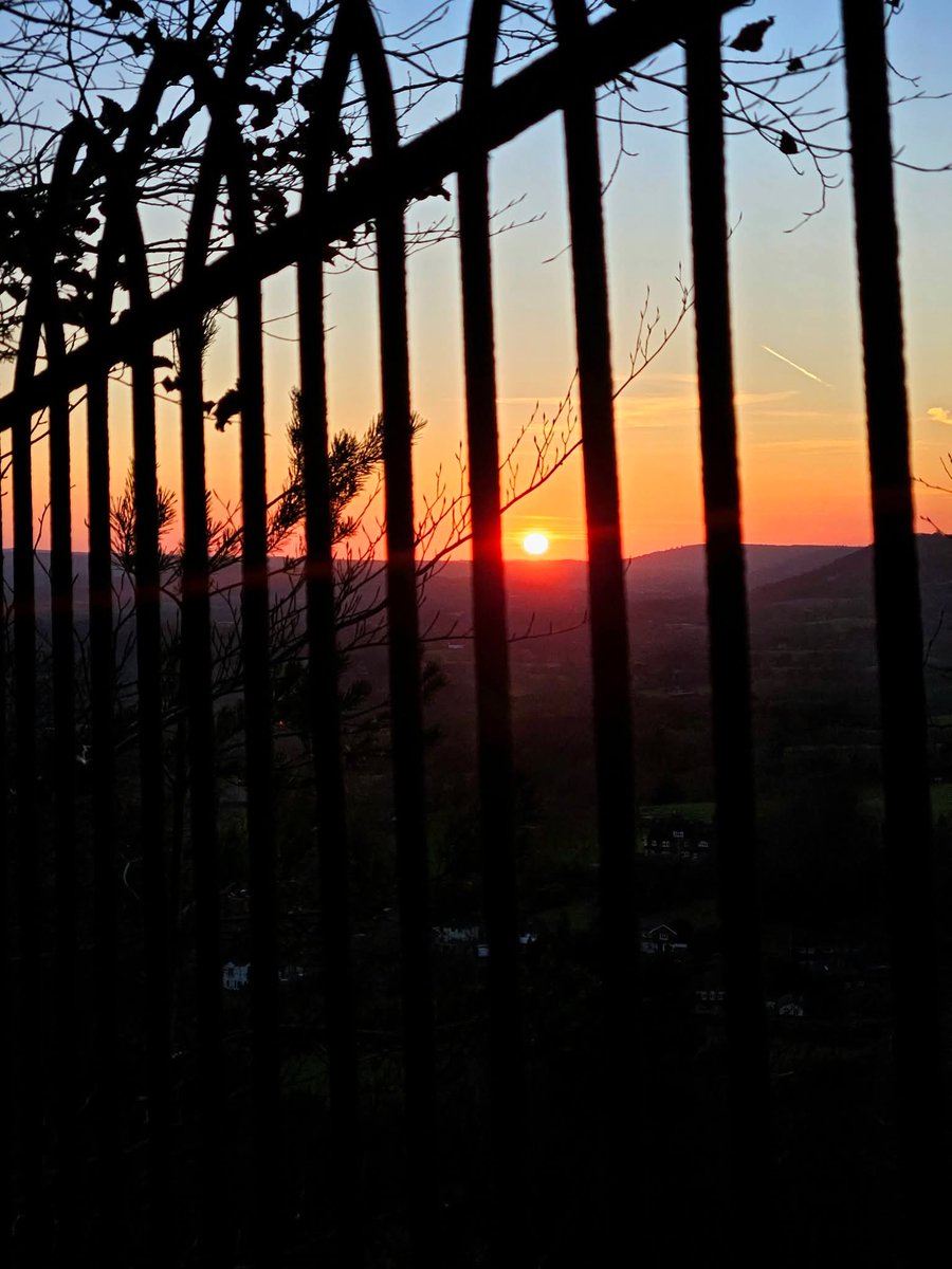 Matthew Williams tweet media