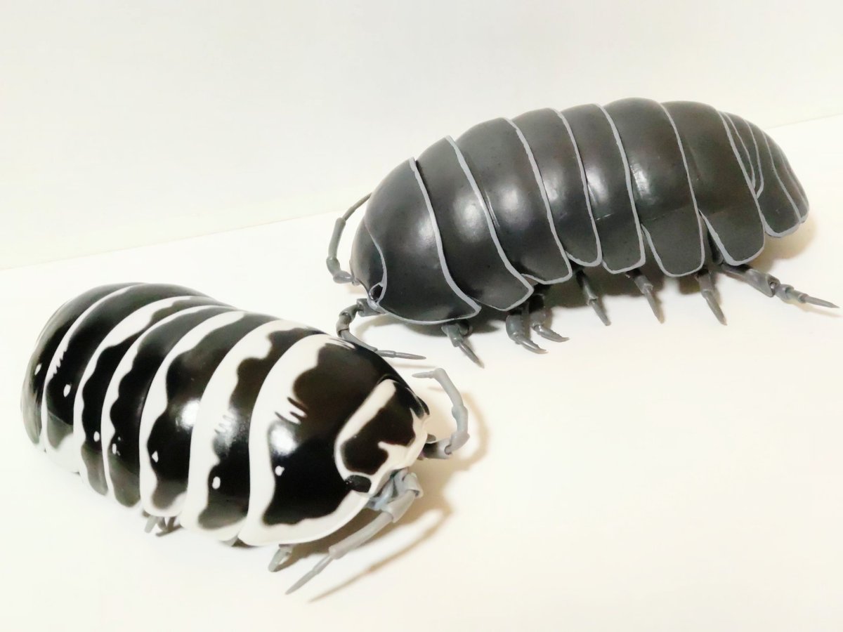 初期のダンゴムシは手に入れられなかったが今回は入手出来た。 この