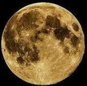 サブ垢 tweet media