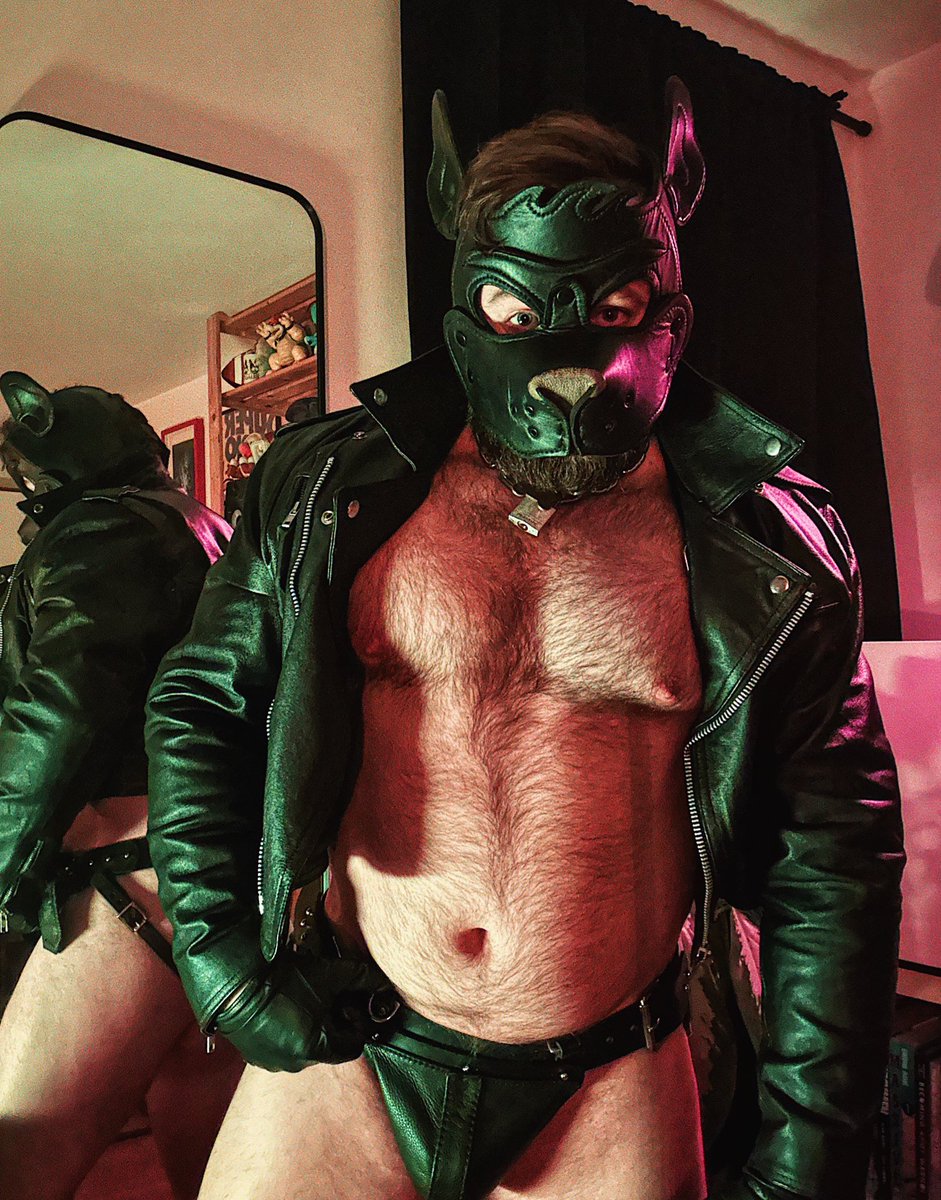 ScoutPupWoof tweet media