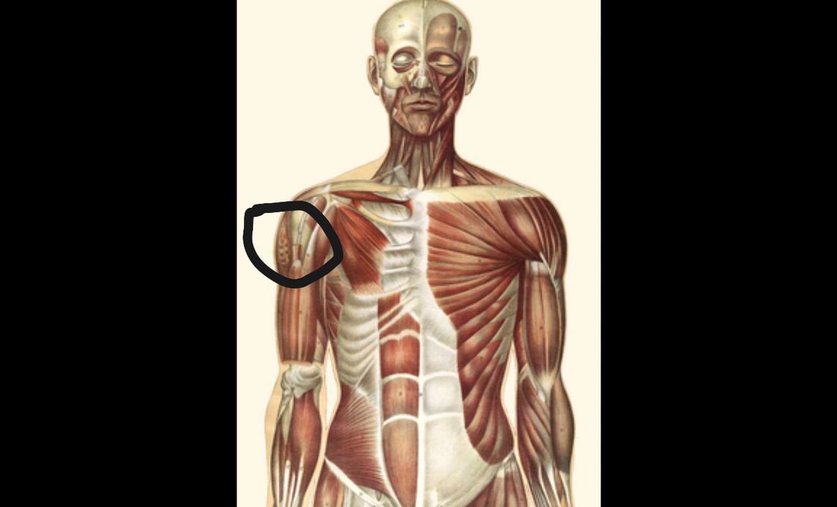 عزيز بن خالد tweet media