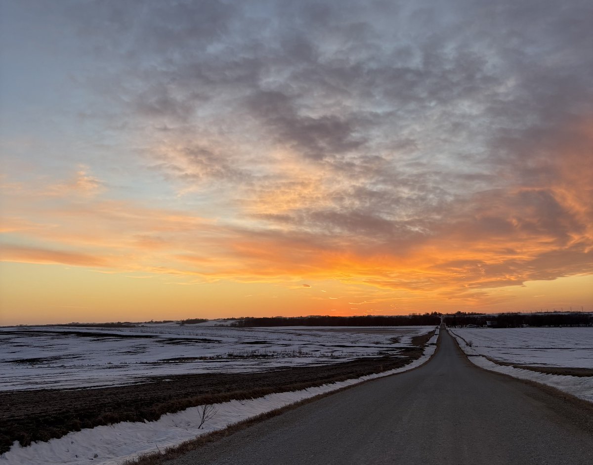 Travis Williamson tweet media