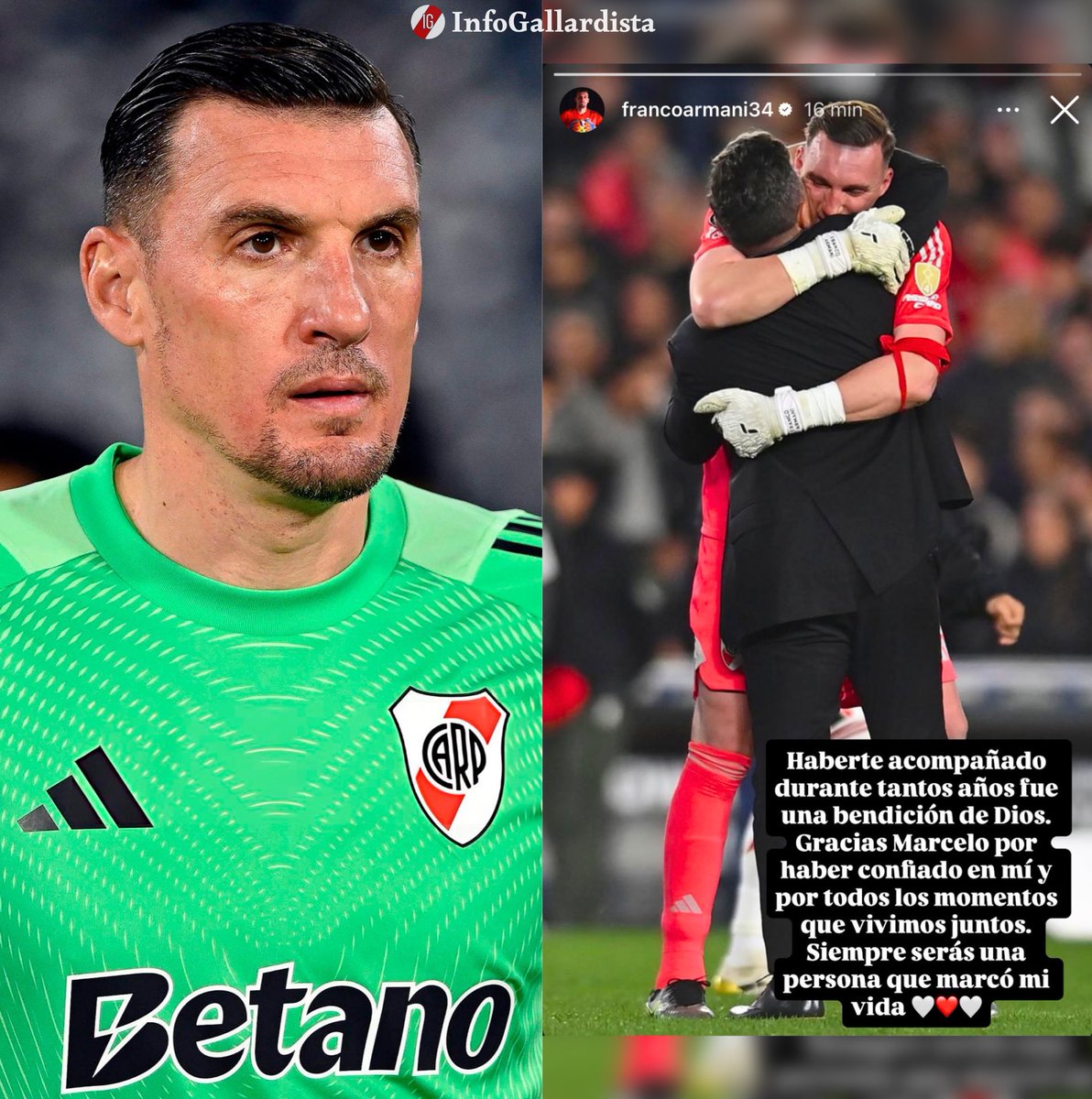 Info Gallardista tweet media