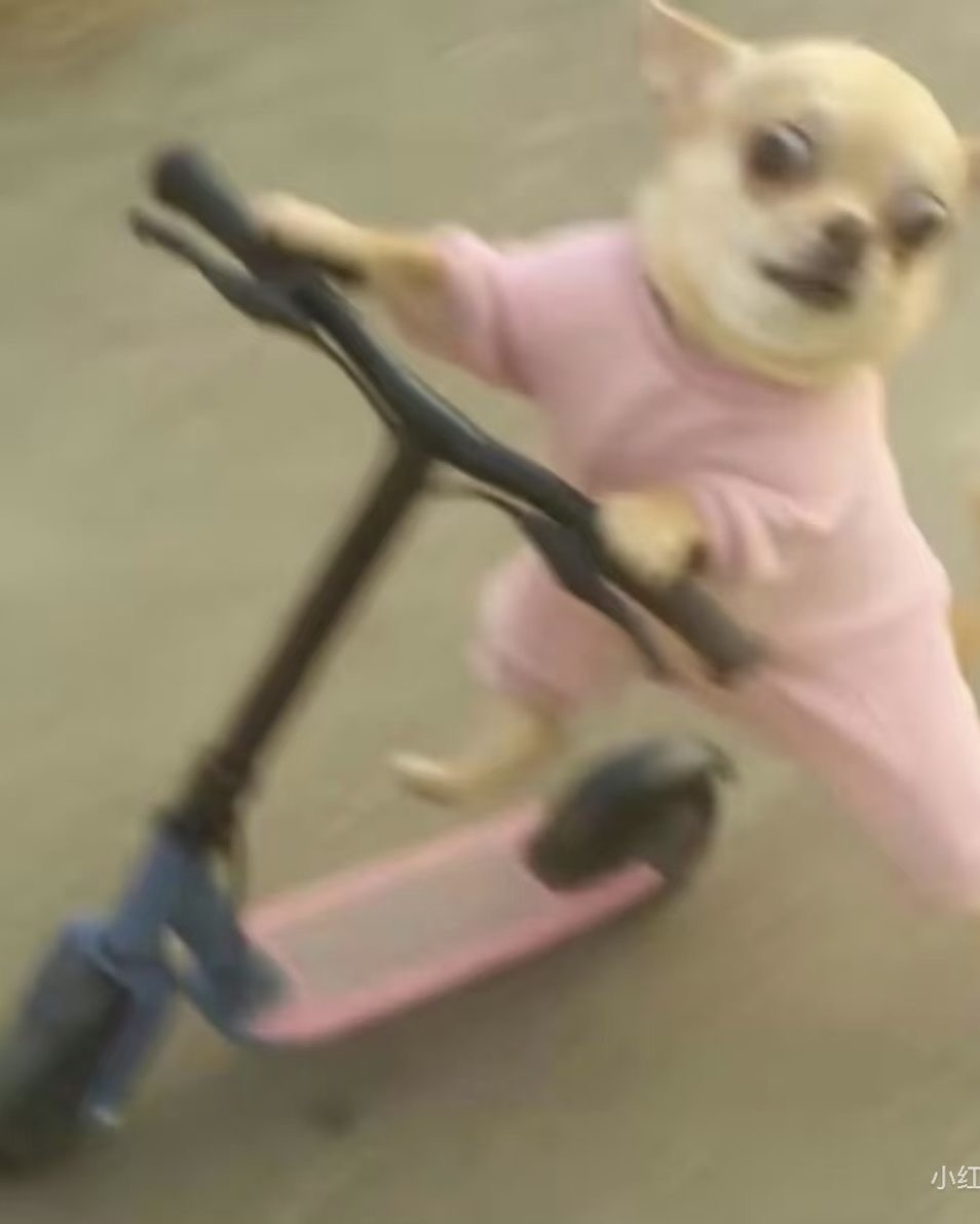 HARD Events tweet media