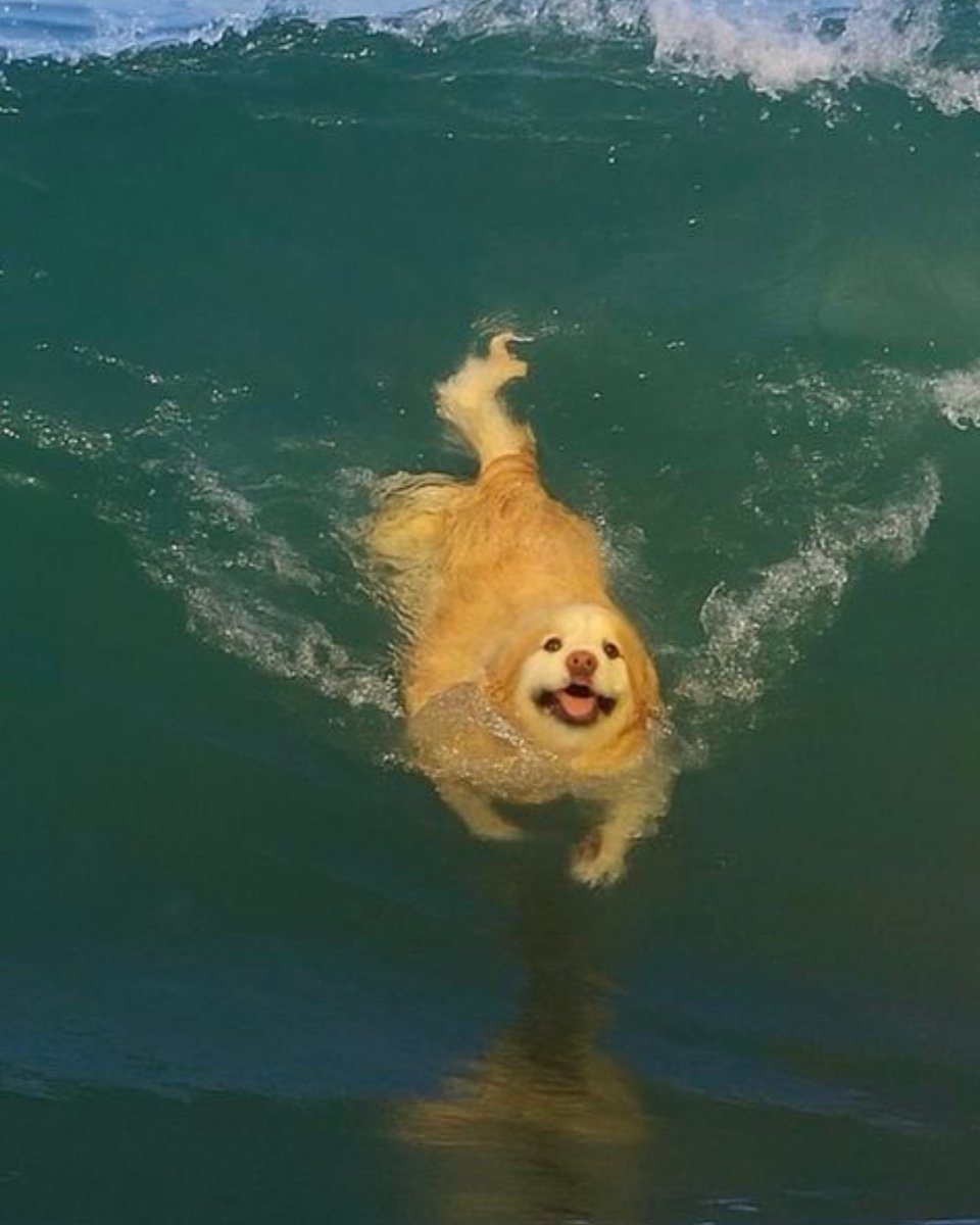 HARD Events tweet media