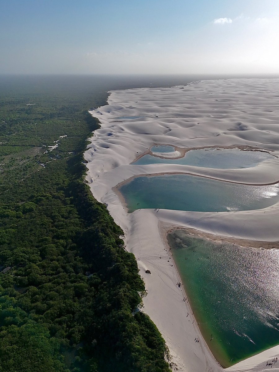 Lençóis Maranhenses vistos por um ângulo diferente.

O encontro do verde com o cenário das dunas formando um belo contraste!

Absolutamente lindo!!  🍃🤍