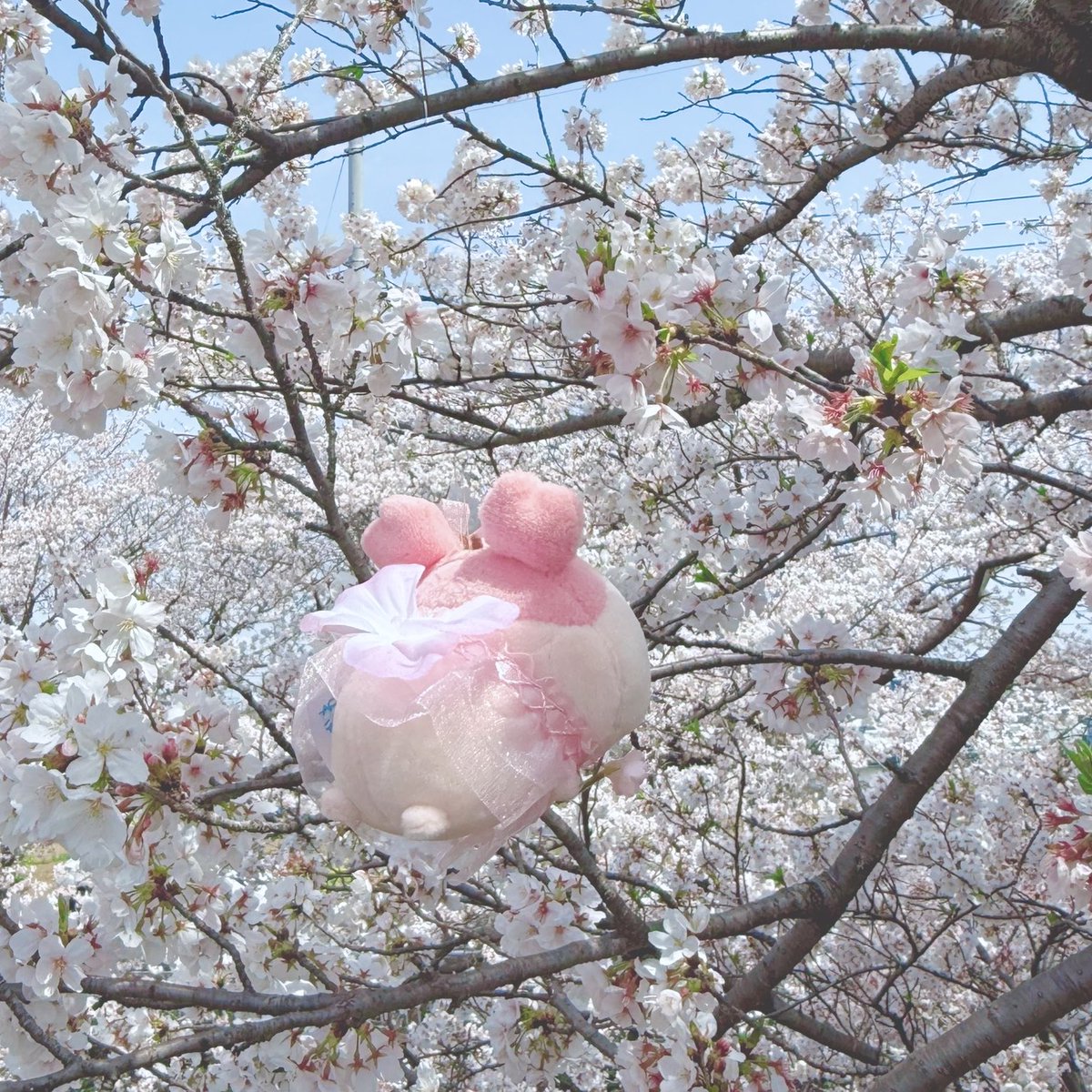 ao💎໒꒱ tweet media