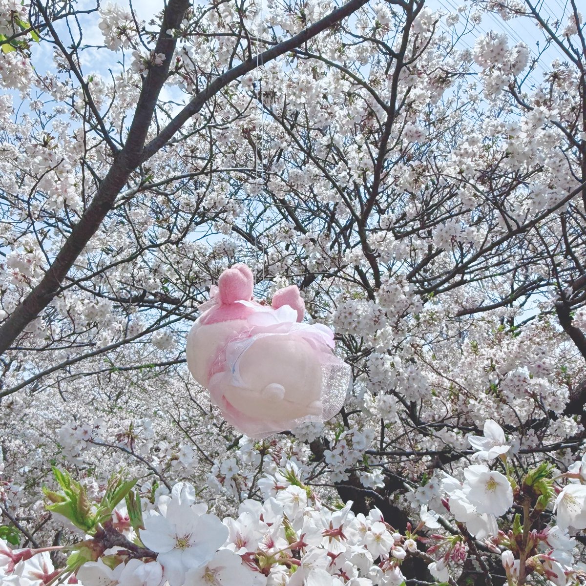 ao💎໒꒱ tweet media