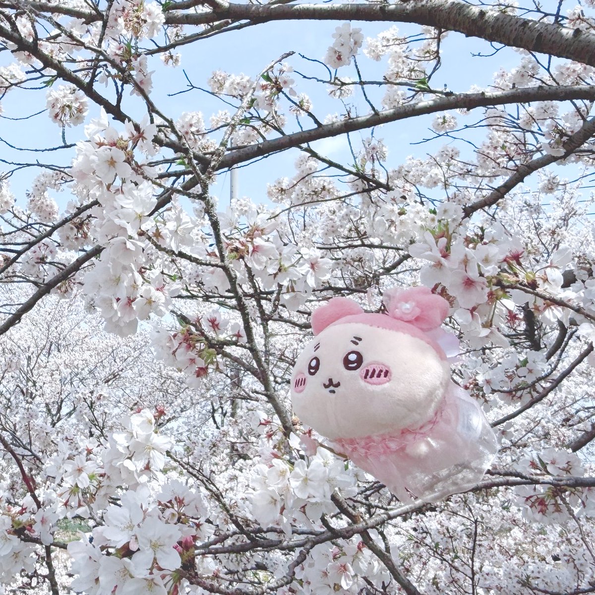 ao💎໒꒱ tweet media