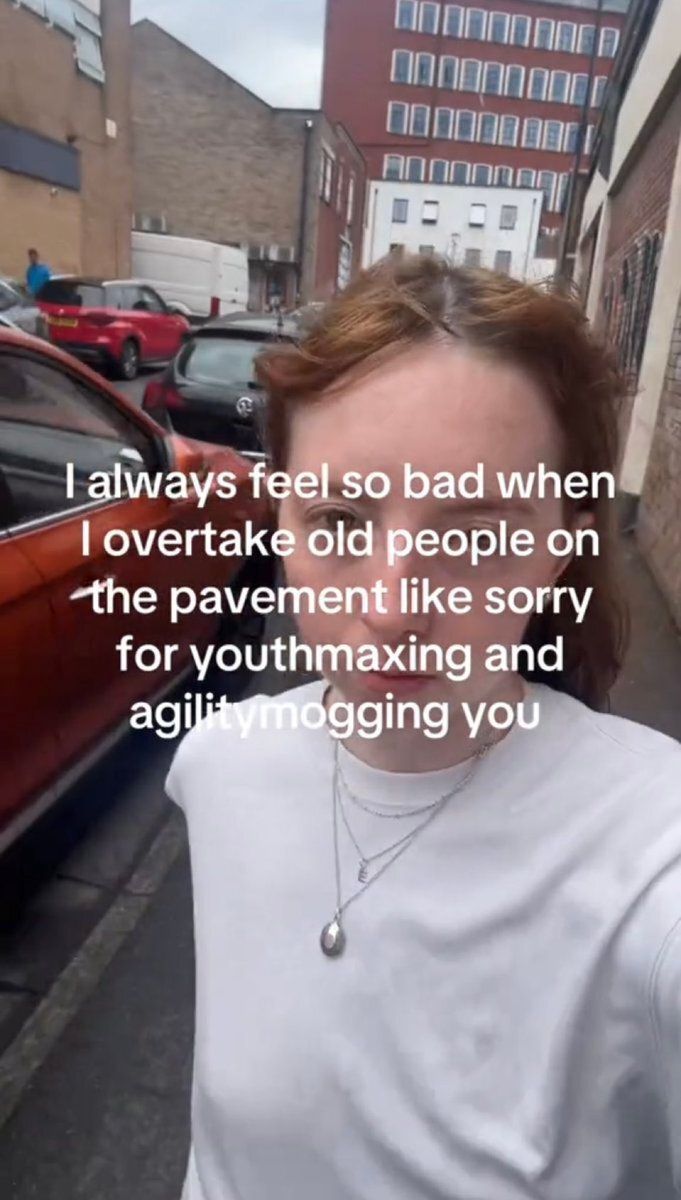 memes to save tweet media