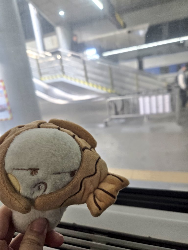대전갑니당