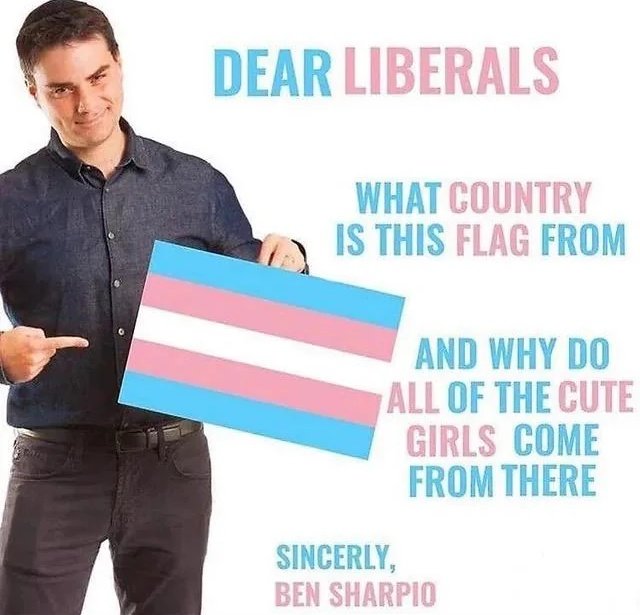 Gay Frog 🏳️⚧️ tweet media